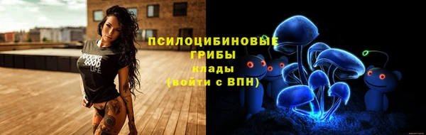 гидра Богородицк