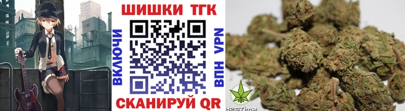 МАРИХУАНА сатива  Богданович 
